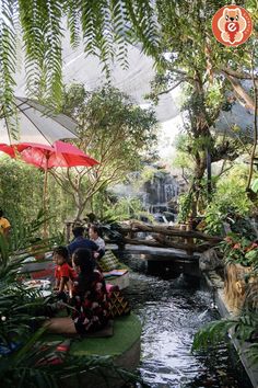 people are sitting on benches near a small stream in the middle of a tropical garden