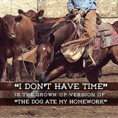 a man riding on the back of a brown horse next to some black and white cows