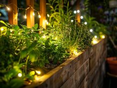 some plants and lights in a wooden planter