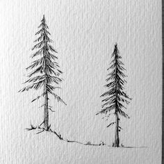 a drawing of two pine trees in the snow, one is drawn on paper and the other is inked