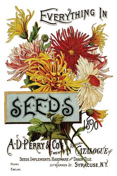 an advertisement for seed company with flowers in the center and words on it that read everything in seeds