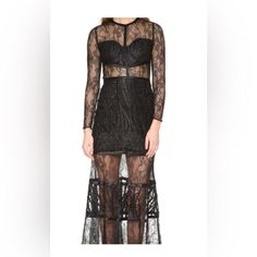 Worn Once. Alexis Black Lace Dress Stunning Black Evening Gown From Alexis. Delicate Sheer Black Lace..Lined At Bust And On The Skirt, Long Sleeve. Size S. Alexis Dress, Black Evening Gown, Skirt Long, Black Lace Dress, Evening Gown, Black Lace, Evening Gowns, Lace Dress, Colorful Dresses