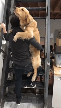 a person holding a dog on their back in front of some shelves with other items