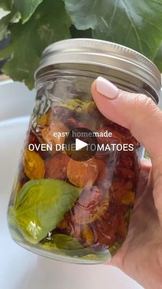 a hand holding a jar filled with dried fruits and vegetables next to a potted plant