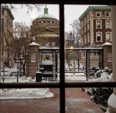 looking out the window at snow covered buildings and gated in area with trees on either side