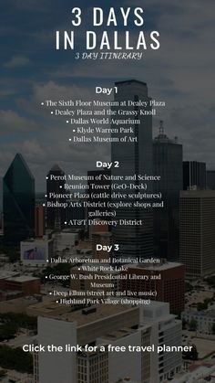 the 3 days in dallas flyer