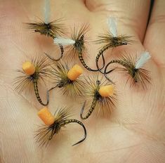 five flies are arranged in the palm of someone's hand