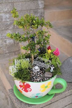 a potted plant sitting on top of a green saucer filled with rocks and plants