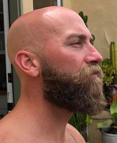 Beard Styles Bald Head, Bald And Bearded Men Style, Bald And Beard, Bald With Beard Men, Bald Bearded Men, Beard Styles For Bald Men, Black Beard Styles, Beard Bald