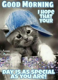 a cat with a hat on top of it's head and caption in spanish