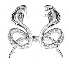 I will make a kickass tattoo style illustration for you Two Snakes Back Tattoo, Mystical Back Tattoos, Snake Ear Tattoo, Angel Outline, Basic Tattoos, Snake Ears, Neck Tattoos Women, Style Tattoo