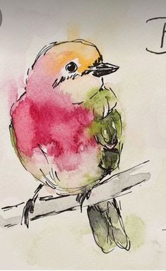 a watercolor painting of a bird sitting on a tree branch with the word faith written below it