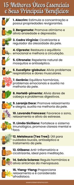 15 melhores óleos essenciais: guia completo Magnesium Oil, Natural Magic, Holistic Therapies, Natural Drinks, Plant Design, Essential Oils Aromatherapy, Ayurveda