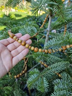 a person holding a bead in their hand next to a tree with cones on it