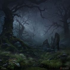 a dark forest with mossy rocks and trees