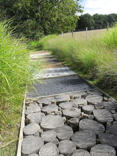 there are many stepping stones on the side of this path that is lined with tall grass