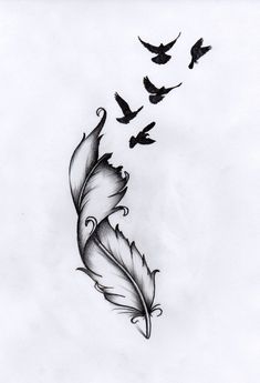 a drawing of birds flying around a feather