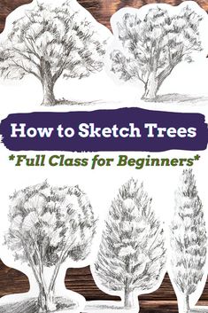 how to sketch trees full class for beginners with pictures and text on the front cover