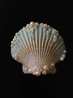 a black and white photo of a seashell with pearls on it's shell