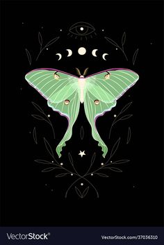 a green butterfly with crescents and stars on it's wings in the night sky