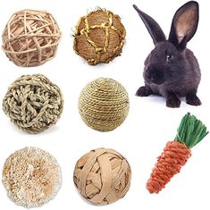 an assortment of different types of balls and carrots on a white background with the words,