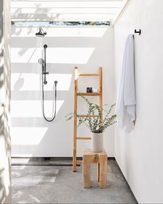 a bathroom with a ladder, shower head and plant on the floor next to it