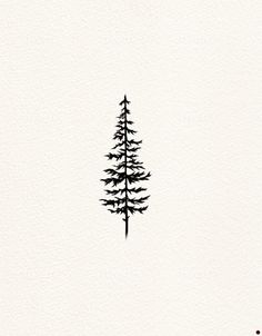 a black and white drawing of a pine tree