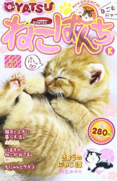 a magazine cover with a kitten sleeping on it's back