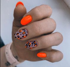 Nail Design Ideas 2023, Nail Art Designs Short, Summer Nail Design Ideas, Short Nails Ideas, Cheetah Print Nails, Cheetah Nails, May Nails, Art Pretty, Sassy Nails