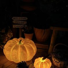 two glowing pumpkins sitting on top of a wooden table next to pine cones and potted plants