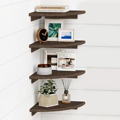 three wooden shelves on the wall with pictures and plants in them, along with other items