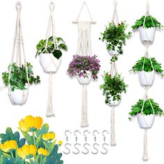 hanging planters with flowers and plants in them