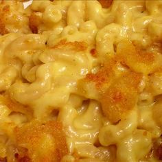 macaroni and cheese on a white plate