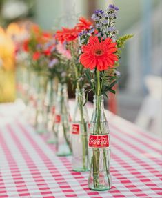 red and purple flowers in coke bottles lined up on a checkered tableclothed table