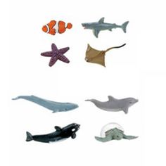 several different types of sea animals on a white background