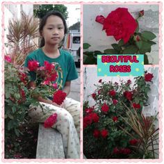 GABRIELLE V.ARBOLEDA,SQUAIR ROOTS ,KEW MSB ,CAVITE,FEU,3-25-14, TAKEN AT E. GONZALES ST., SILANG CAV. NAME:ROSE SCIENTIFIC NAME:ROSA RUBIGNOSA Beautiful Roses, T Shirts For Women