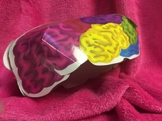 a pink towel with a colorful object on it's side and the colors of the brain visible