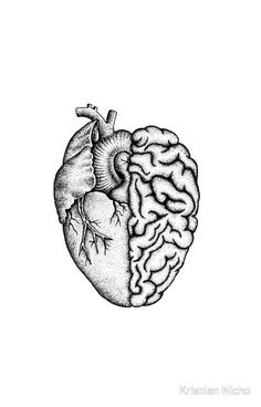 a black and white drawing of a human heart with the right side cut out to show the inside