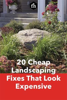 the front yard with flowers and plants on it that says, 20 cheap landscaping fixes that look expensive