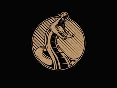 an image of a snake with its mouth open in the middle of a circle on a black background