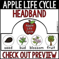 an apple life cycle poster with words and pictures