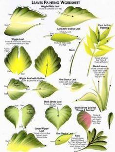 leaves and other plants are shown in this drawing lesson for beginners to learn how to paint