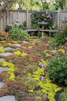 Lush backyard garden with colorful ground covers, flowering plants, and a wooden bench against a fence.