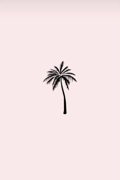 a black and white photo of a palm tree on a light pink background with the words,