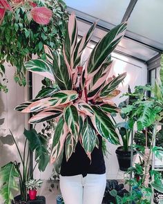 a woman is standing in front of some plants