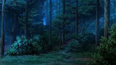 the forest is full of trees and bushes at night time with bright lights shining on them