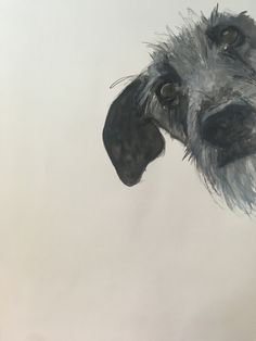 a drawing of a dog's head with long hair