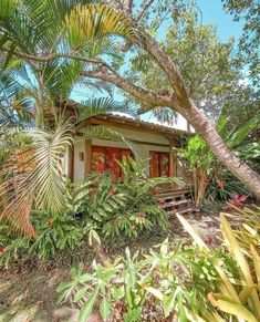 a small house surrounded by trees and plants