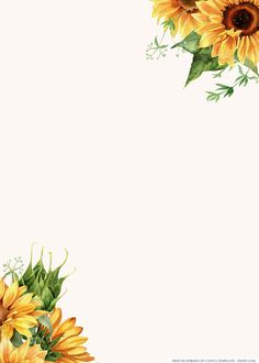 sunflowers with green leaves are on the corner of this white paper sheet, which is