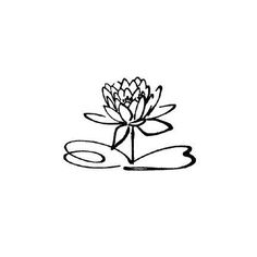 a drawing of a lotus flower on top of water